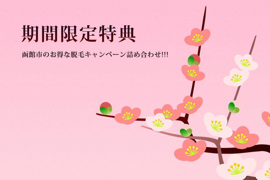 札幌市の期間限定脱毛キャンペーン集