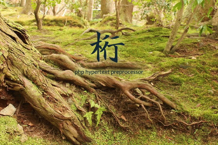 指定した桁数を特定の値で埋める