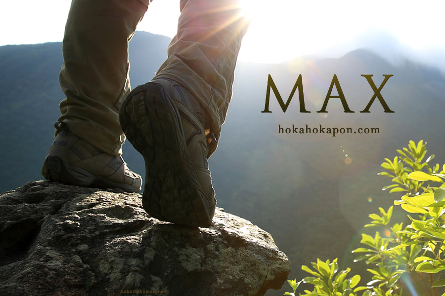 php関数max()について